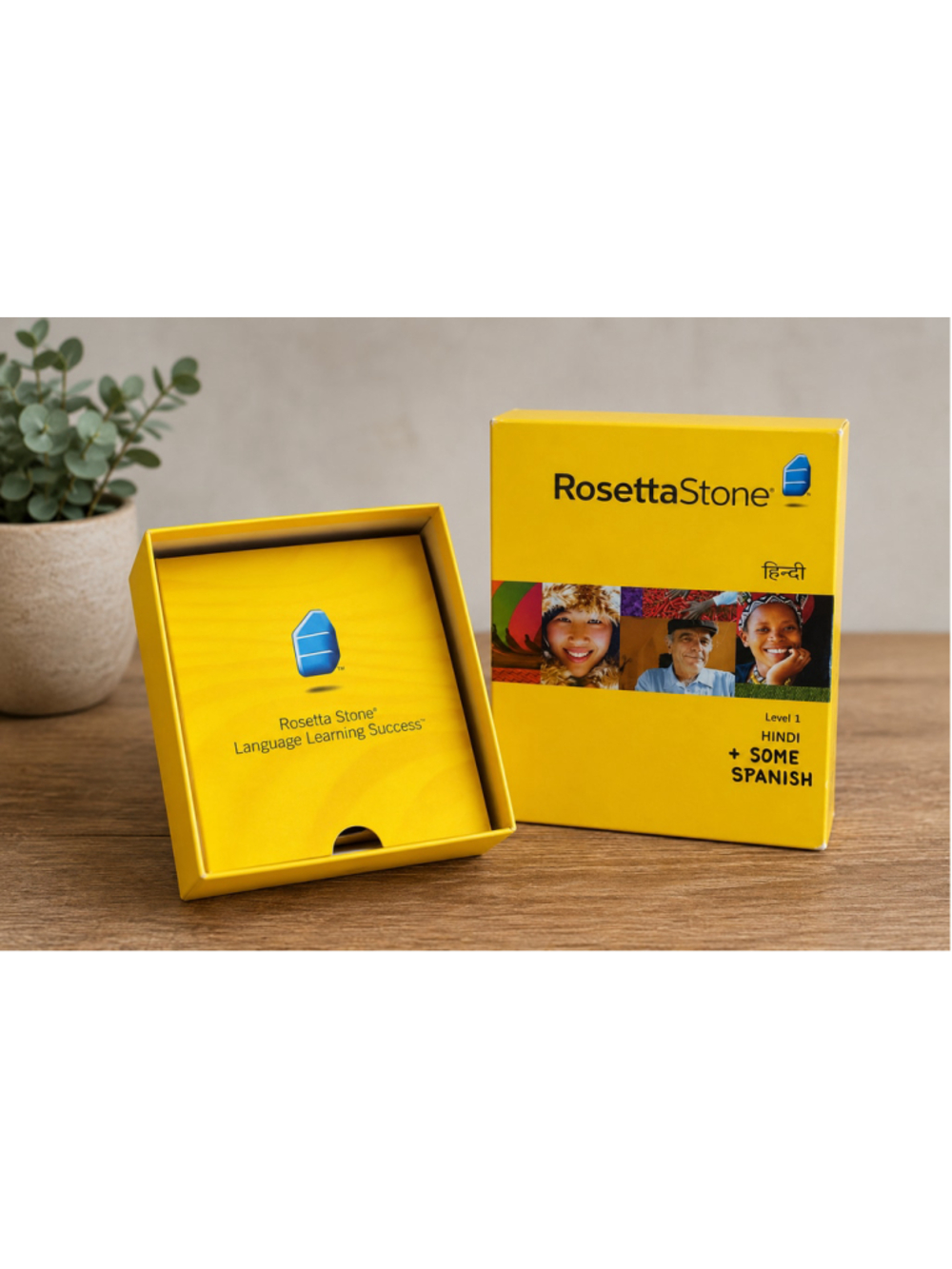 Rosetta Stone Hindi & Spanish Language Learning Software Summer